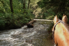 River crossing