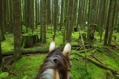 Alouette Valley Trail