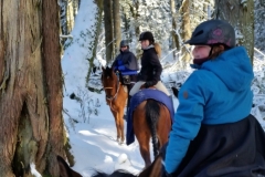 Shoesmith area in winter