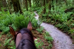 West Shoesmith Trail