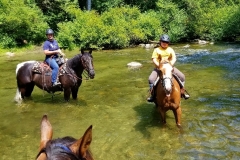Cooling off in the river