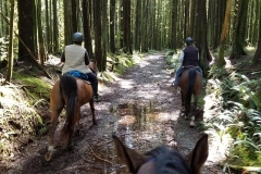 Alouette Valley Trail