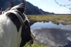 Near Pitt River