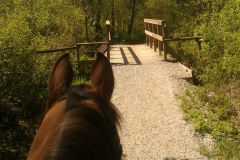 Cattell Bridge on Tim's Trail