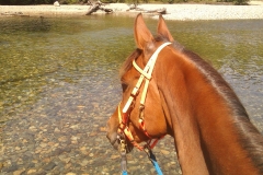 Horsemans Beach at Gold Creek