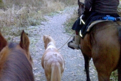 Friends in all sizes