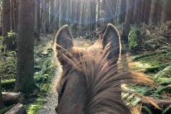 Silver Ghost Trail