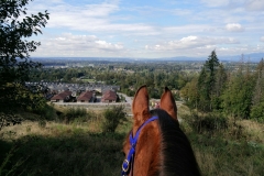 Westerly view from Erskine Trail