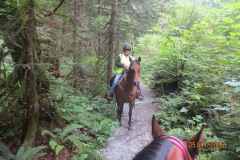Along George's Way in May, 2016