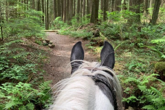 Georges Way Trail