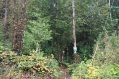 Tower Trail's east trailhead, at Grant Ave (modern map shows this trail segment renamed as "Hodgens' HIll Trail")