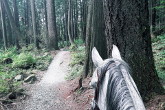Lower George's Way (now called "Pauline Clark Trail")