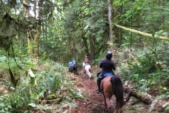 Tower Trail, heading east on the north slope of Grant Hill, 2017