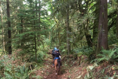 Tower Trail, on the way to Hodgens HIl Trail, autumn 2017