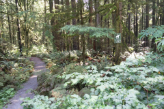 Upper George's Way (this segment now called "Ridge Riders Trail")