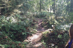 Bear Ridge west trailhead, at the fork with Erskine Trail