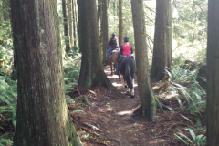 Heading east on Lower Bear Ridge Trail
