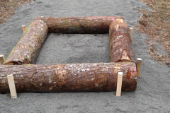 Platform frame