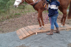 Guiding horse in-hand over the bridge