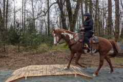 Action shot - Bridge