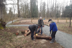 Many logs to move