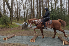 Action shot -  Stepovers