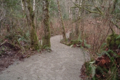 Trail surface topped up with fresh crusher