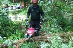 Clearing logs from the trails at Allco Park