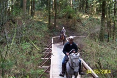 HHA 2004 project:  Bud's Bridge (2004) on Wood's Creek Trail