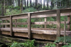 HHA 2010 project: Millionaire Creek Bridge on Maple Ridge Trail