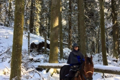 Trail stewardship includes recording and reporting the "what", "where" and "how high" of trail obstacles