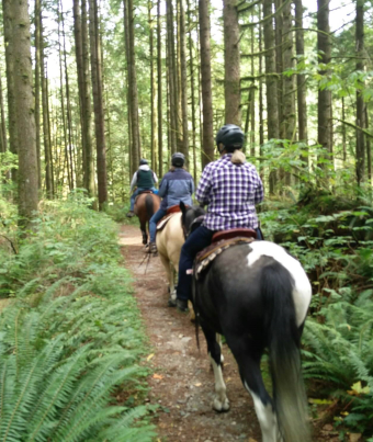 Haney Horsemen riding forest trail